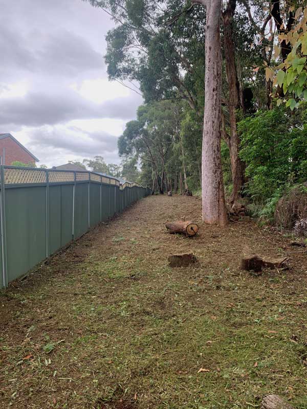 Bushfire mitigation after