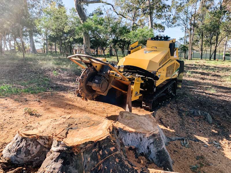 Stump grinding