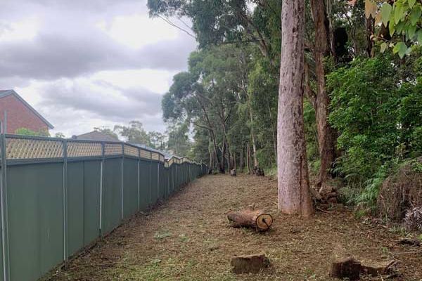 bushfire-mitigation-after1BA3A840-79D8-5B2F-B809-3239C8C179E6.jpg